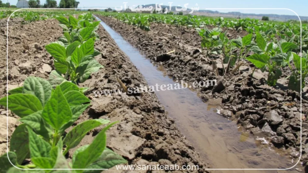 0 تا 100 کاشت لوبیا با نوار تیپ + آبیاری قطره ای لوبیا 2 کاشت لوبیا چیتی قطره ای