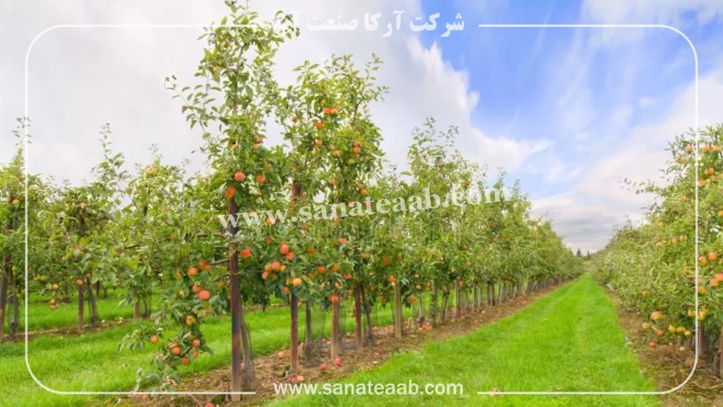 نقشه لوله کشی آبیاری قطره ای درختان و مزارع + لوازم آبیاری 6 لوله کشی قطره ای باغ