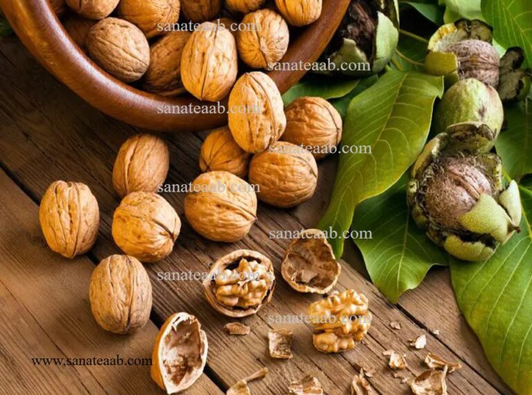 آبیاری درخت گردو