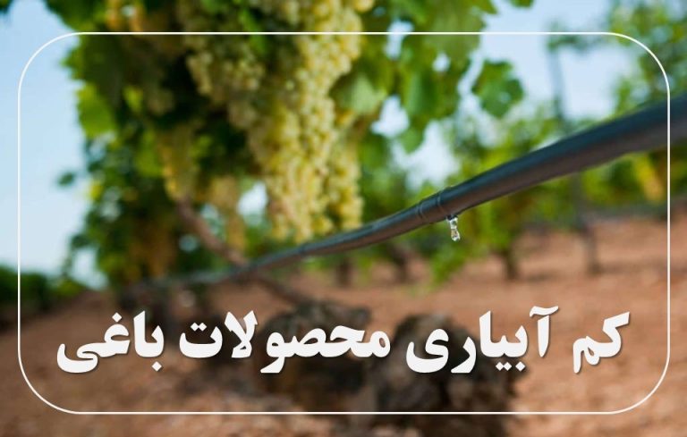 کم آبیاری محصولات باغی