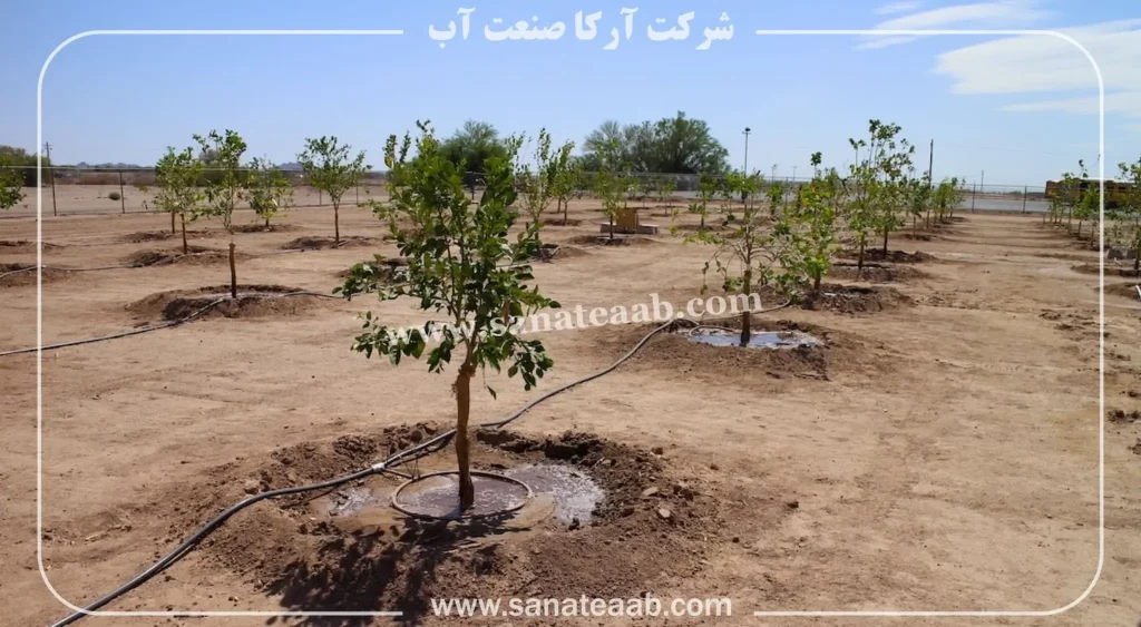 آبیاری قطره ای باغ