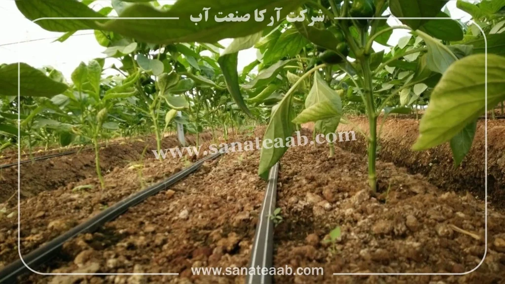 آبیاری قطره ای گلخانه